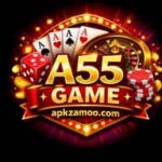 A55 Game
