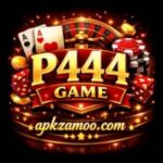 P444 Game