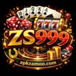 ZS999 Game