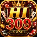 HI 309 Game